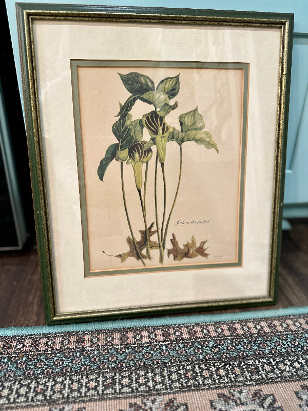 Vintage Botanical Prints, Artist Kathleen Cassel, Framed and Double Matted - Each Sold Separately