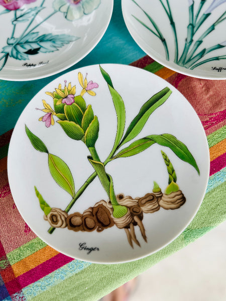 Vintage Salad Plates, Horshow Collection, Japan, Botanical Motif