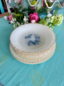 Vintage Milk Glass Blue flower Dishes Gold Rim, Termocrisa, Mexico Set of 12