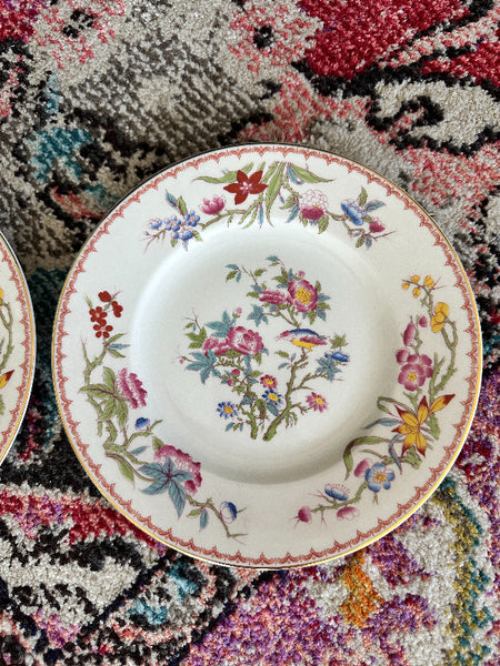 Vintage Plate -Old Ivory Syracuse China Bombay Pattern, 2 available
