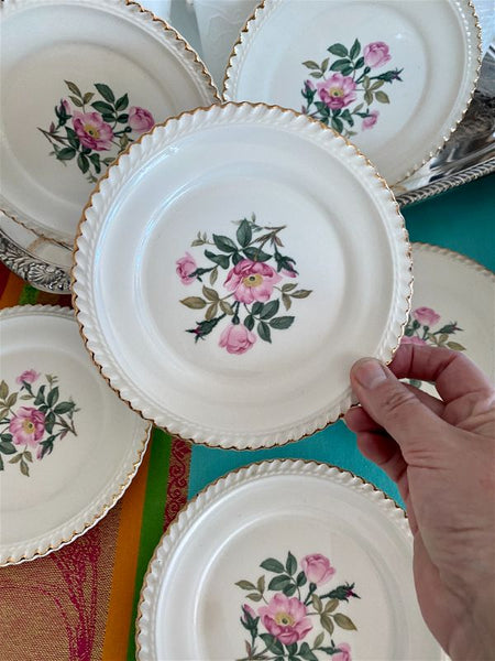 Set of 6 Harker Pottery co. 22 kt gold dessert plates-victorian company started in 1840 - Antique *